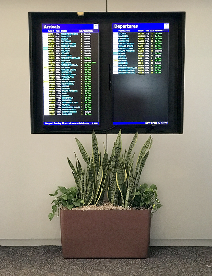 Airport Planting